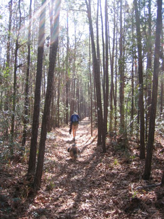 Lone Star Trail w dog